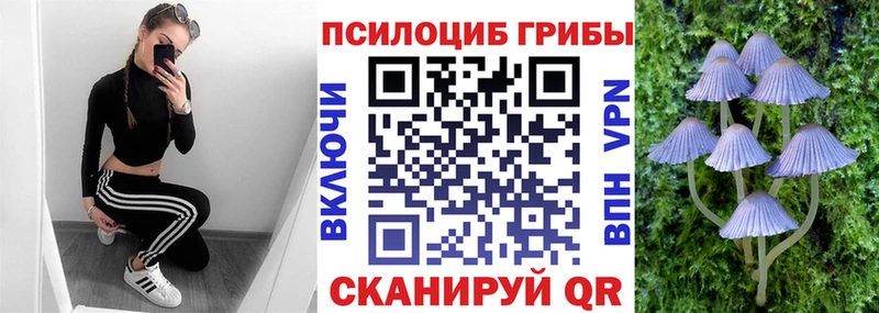 Купить закладки  Нягань  Галлюциногенные грибы мицелий 